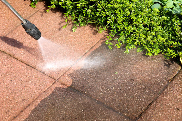 Best Pressure Washing Company Near Me  in Washington Mills, NY